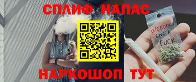 стаф Сланцы