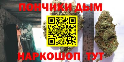 стаф Сланцы