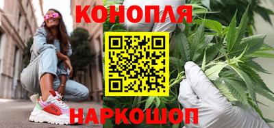 стаф Сланцы