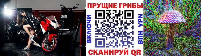 даркнет сайт  Барабинск  Галлюциногенные грибы мухоморы 