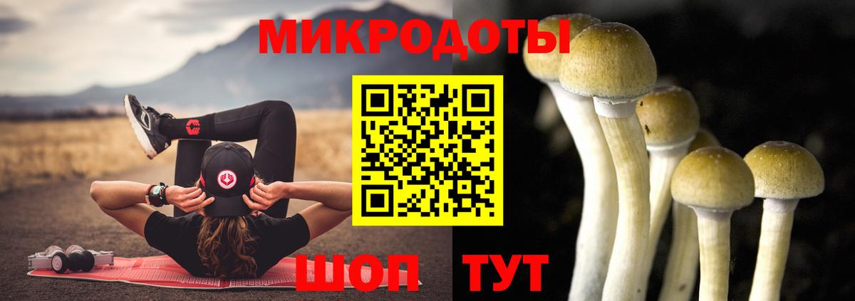 Псилоцибиновые грибы MAGIC MUSHROOMS  Вход с VPN  Барабинск  Галлюциногенные грибы Psilocybine cubensis 